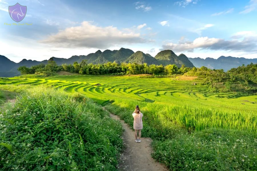 Hanoi Mai Chau Pu Luong E-bike Tour 3 Days